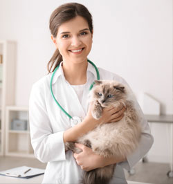 Doctor with fluffy cat